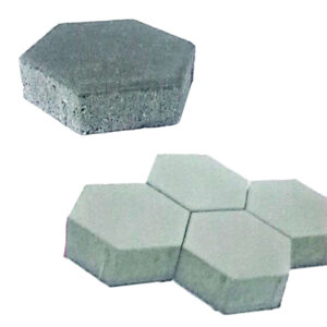 Paves Type Hexagonal